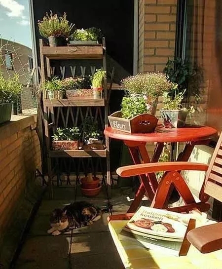 有家，有陽(yáng)臺(tái)，有生活！